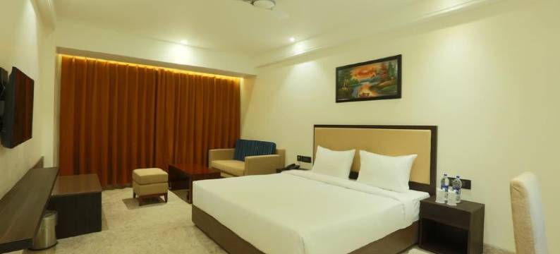 布里瓦西中心酒店(Centrum Hotel by Brijwasi)图片