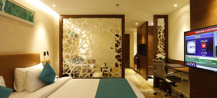 瓦多达拉艾佛酒店-萨亚吉(Effotel by Sayaji Vadodara)图片