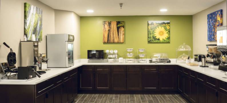 舒眠酒店及套房-奥马哈机场(Sleep Inn & Suites Omaha Airport)图片