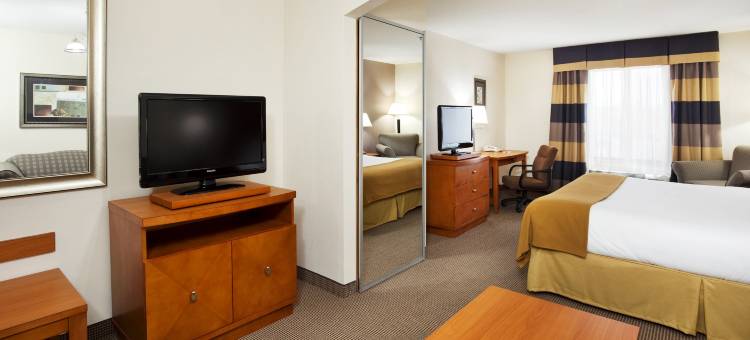 Holiday Inn Express 森林城市(Holiday Inn Express Forest City)图片