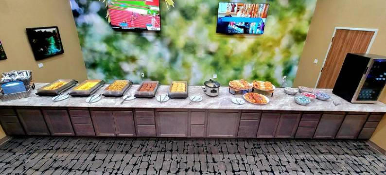 克利奇站温德姆花园酒店(Wyndham Garden College Station)图片