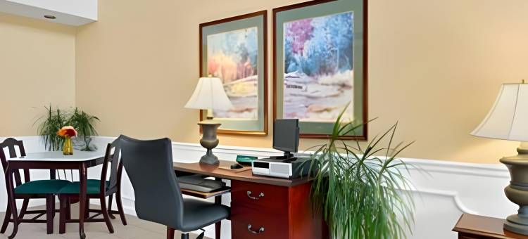 佐治亚洲不伦瑞克温德姆呗盟酒店(Baymont by Wyndham Brunswick GA)图片