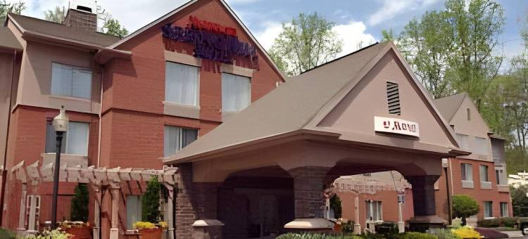 亚特兰大阿尔普哈雷塔万豪SpringHill酒店(SpringHill Suites Atlanta Alpharetta)图片