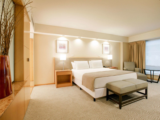 布宜诺斯艾利斯希尔顿逸林酒店