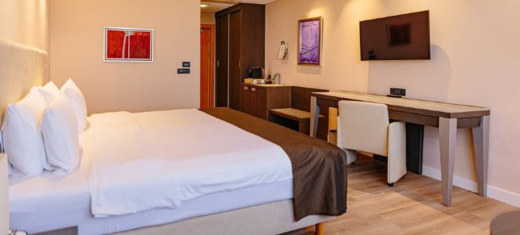 Holiday Inn 贝尔格莱德(Holiday Inn Belgrade)图片