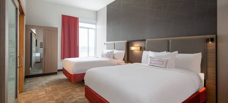 丹佛帕克万豪SpringHill Suites酒店(SpringHill Suites Denver Parker)图片