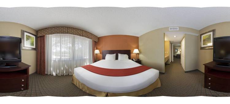 Holiday Inn Express 清水东 - ICOT中心(Holiday Inn Express CLEARWATER EAST - ICOT CENTER by IHG)图片