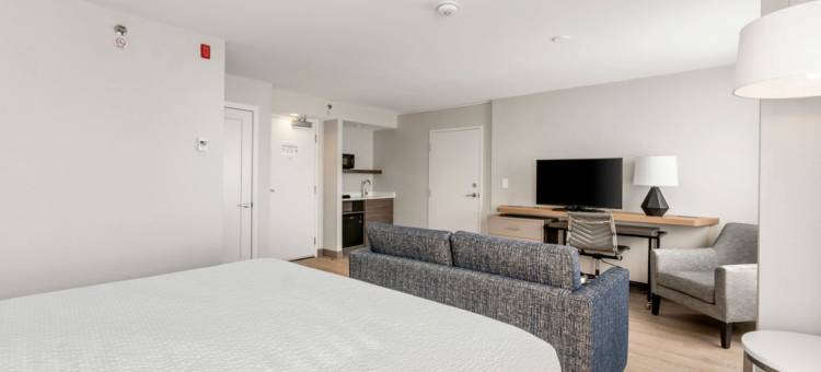 Holiday Inn & Suites 渥太华卡娜塔(Holiday Inn & Suites OTTAWA KANATA by IHG)图片