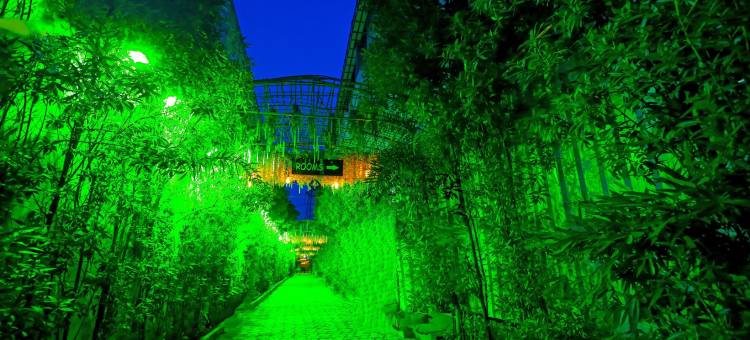 假日绿洲(Holiday Green)图片