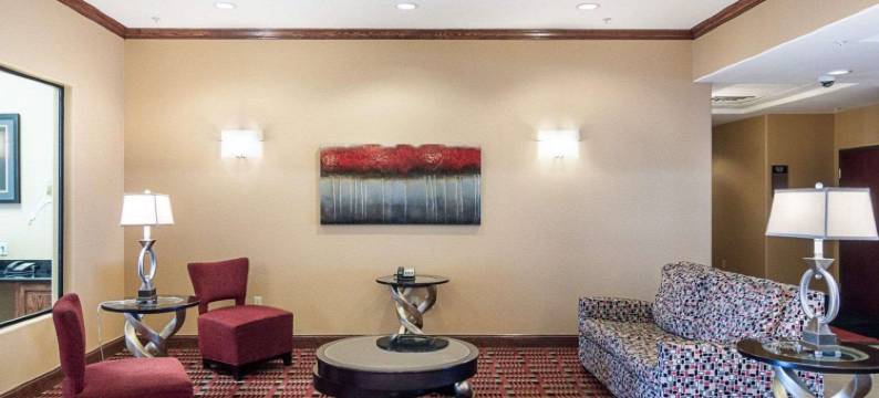 蒙那汉斯 I-20 舒适套房酒店(Comfort Inn & Suites Monahans I-20)图片