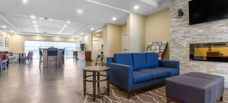 舒适套房酒店(Comfort Inn & Suites)图片