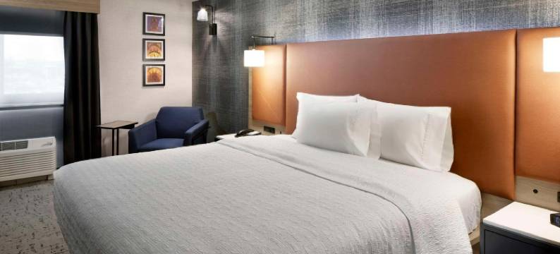 纽瓦克机场希尔顿欢朋酒店(Hampton Inn Newark Airport)图片