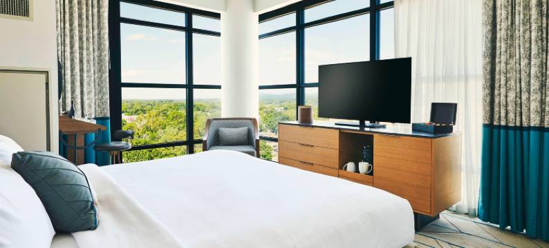 起草者酒店-傲途格精选(The Draftsman, Charlottesville, University, Autograph Collection Hotel)图片