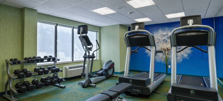 圣彼得堡清水SpringHill套房酒店(SpringHill Suites St. Petersburg Clearwater)图片