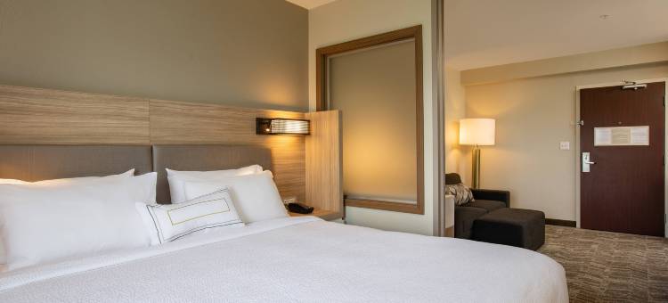 奥兰多阿尔塔蒙特斯普林斯／梅特兰万豪SpringHill酒店(SpringHill Suites Orlando Altamonte Springs/Maitland)图片