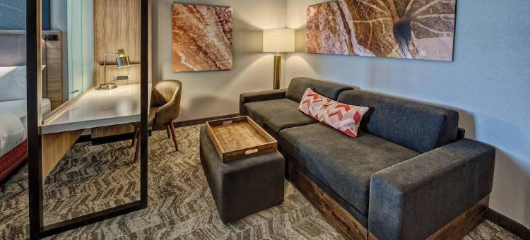 阿马里洛SpringHill Suites酒店(SpringHill Suites Amarillo)图片