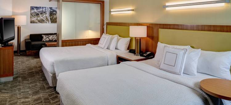 萨吉诺SpringHill Suites酒店(SpringHill Suites Saginaw)图片