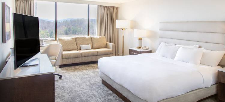 希尔顿逸林酒店-夏洛特镇(DoubleTree by Hilton Charlottesville)图片