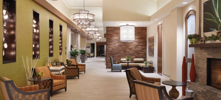 希尔顿花园酒店-罗切斯特市区(Hilton Garden Inn Rochester-Downtown)图片