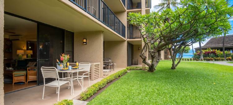 免度假村费及停车费精美海滨一层公寓配有空调.(No Resort or Parking Fees. Beautiful Ocean Front, Ground Level Condo with A/C.)图片