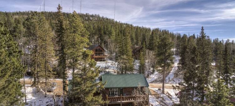 洛斯特营地特里峰仅几个街区山林小屋(Lost Camp Lodge just a few blocks from Terry Peak)图片