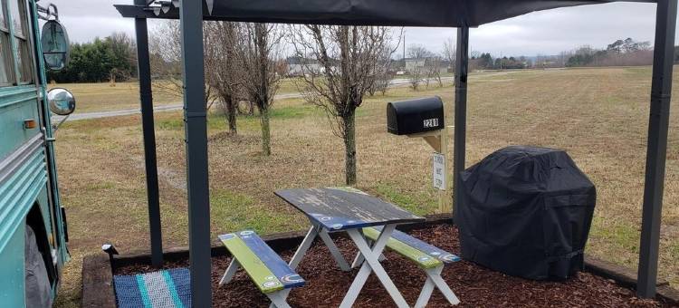 Skoolie Glamping图片