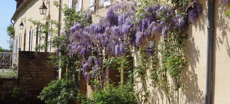 多麦尼的德里蒙特酒店(Domaine de Drémont)图片