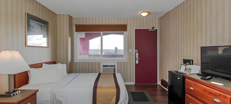 卡尔加里奇努克站加拿大最佳价值酒店(Canadas Best Value Inn Chinook Station)图片