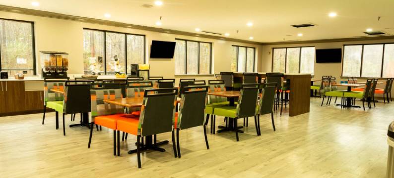 威廉斯堡布希花园区温德姆花园酒店(Wyndham Garden Williamsburg Busch Gardens Area)图片