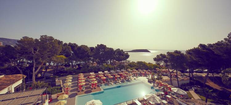 Alua Calvia Mallorca图片