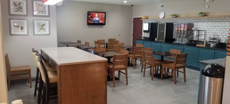 乔治亚州坎顿丽怡套房酒店(Country Inn & Suites by Radisson, Canton, GA)图片