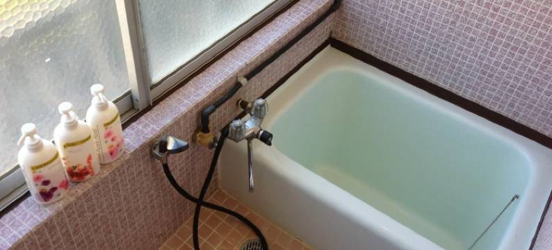 米瑶西亚旅馆(Miyoshiya Ryokan)图片