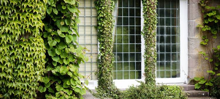 巴拉蒂斯之家酒店(Ballathie House Hotel)图片