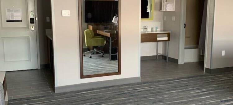 德威特锡拉丘兹希尔顿欢朋套房酒店(Hampton Inn & Suites Syracuse Dewitt)图片