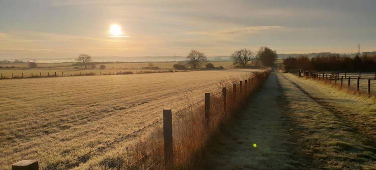 Vallum的丹麦风情(Vallum Cabins)图片