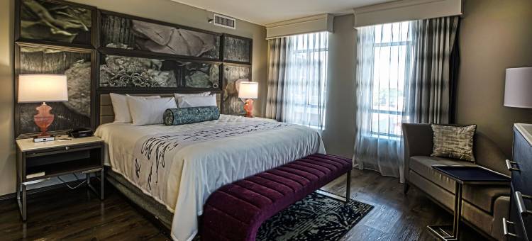 英迪格酒店伯明翰五点南 - 阿拉巴马大学伯明翰分校 by IHG(Hotel Indigo Birmingham Five Points S - UAB)图片