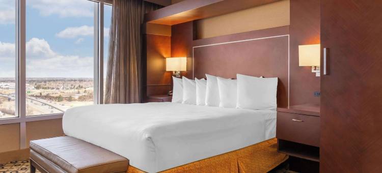 南菲尔德底特律瑞迪森酒店(Radisson Hotel Southfield-Detroit)图片