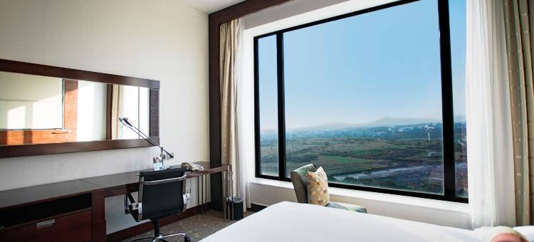 浦那查坎万怡酒店(Courtyard Pune Chakan)图片