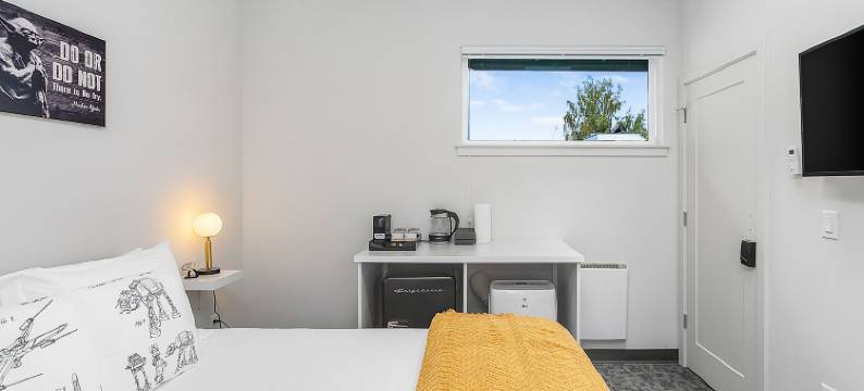 尤达的沼泽套房(Yoda's Swamp Suite)图片