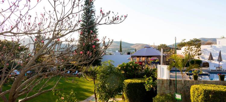 米西瓦哈卡酒店(Hotel Misión Oaxaca)图片