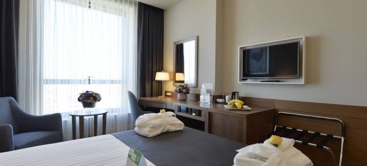 布尔萨市中心假日酒店(Holiday Inn BURSA - CITY CENTRE by IHG)图片