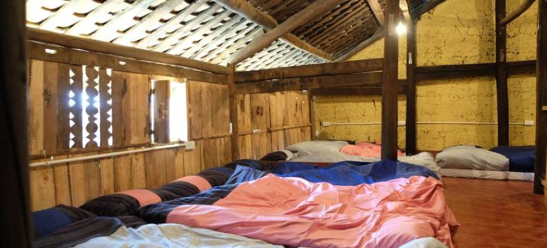 荷米家庭旅馆 - 青年旅舍(Homie Homestay)图片