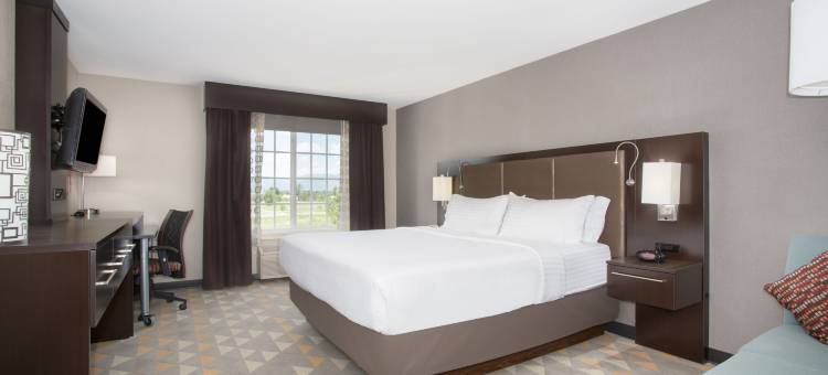 Holiday Inn 科罗拉多斯普林斯(机场) by IHG(Holiday Inn Colorado Springs Airport by IHG)图片