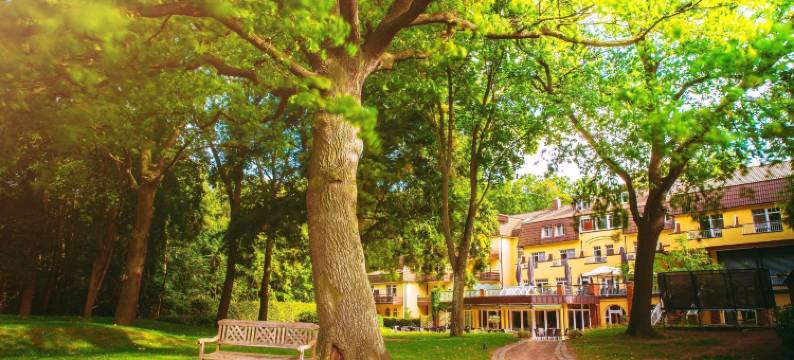 因瑟尔斯库尔豪斯酒店(Kurhaus am Inselsee)图片