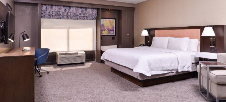 阿尔伯克基汉姆旅馆 - 大学/城(Hampton Inn Albuquerque-University/Midtown)图片