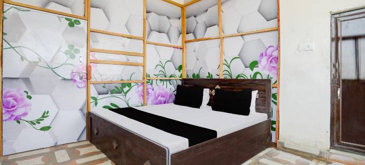 Spot on Top Plus图片