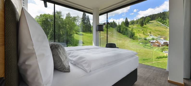 赫拉德大酒店(Grand Hotel Hradec)图片