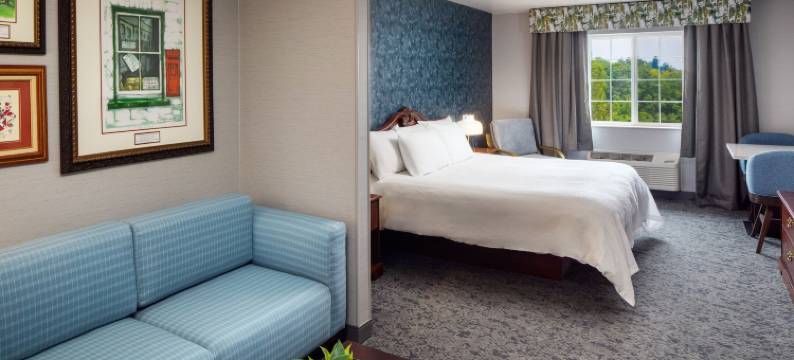 爱尔兰小屋酒店和套房(Irish Cottage Inn & Suites)图片