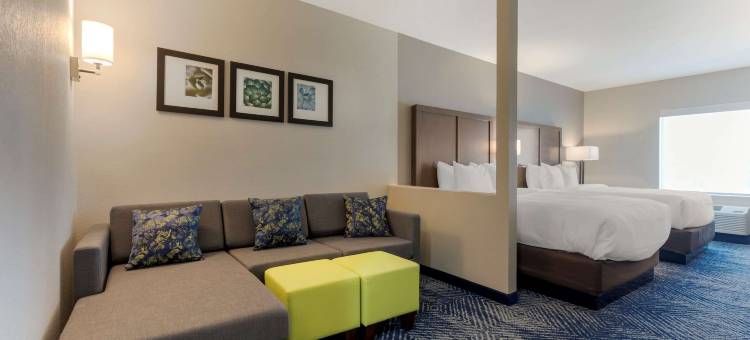 舒适酒店及套房巴尔奇斯普林斯 - 达拉斯东南(Comfort Inn & Suites Balch Springs - SE Dallas)图片