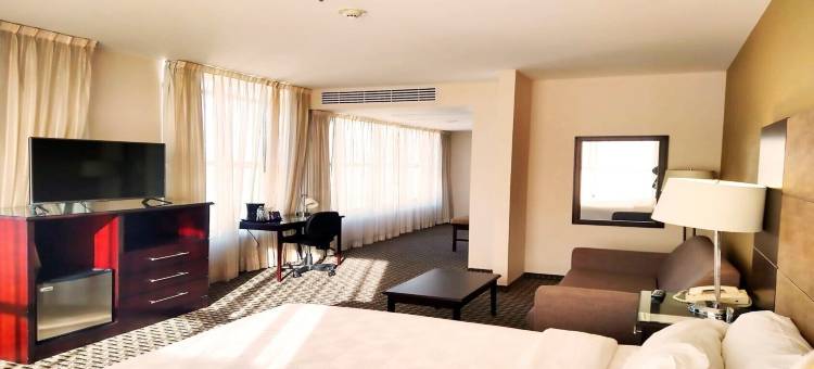 墨西哥城圣达菲假日酒店(Holiday Inn Mexico Santa Fe)图片